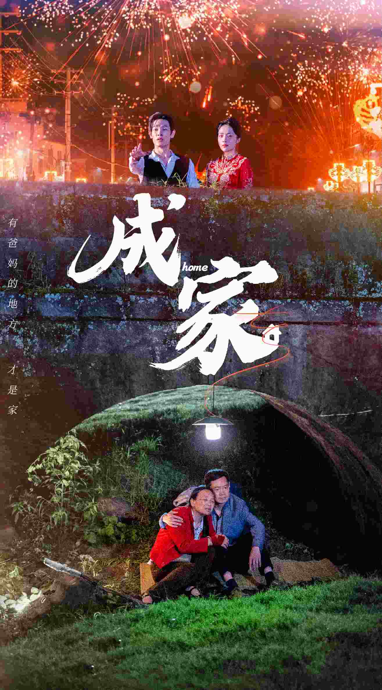 成家短剧版海报