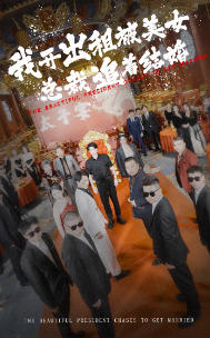 我开出租被美女总裁追着结婚海报