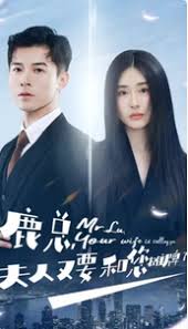 鹿总夫人又要和您摊牌了海报