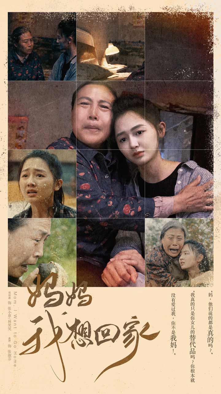 妈妈我想回家&离离原上草海报