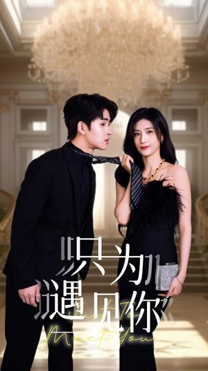 只为遇见短剧海报
