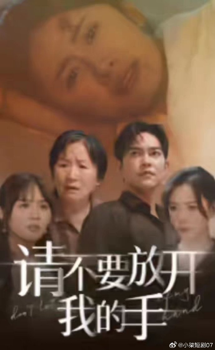 请不要放开我的手海报