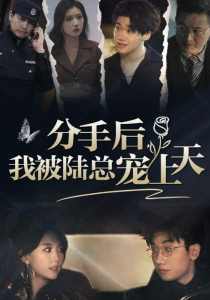 分手后，我被陆总宠上天海报
