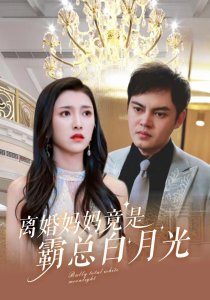 离婚妈妈竟是霸总白月光海报