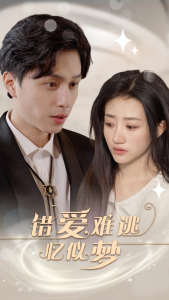 错爱难逃忆似梦海报