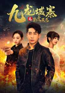 九龙城寨之卧虎藏龙海报