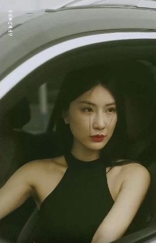 特工凤凰（绝色特工）海报