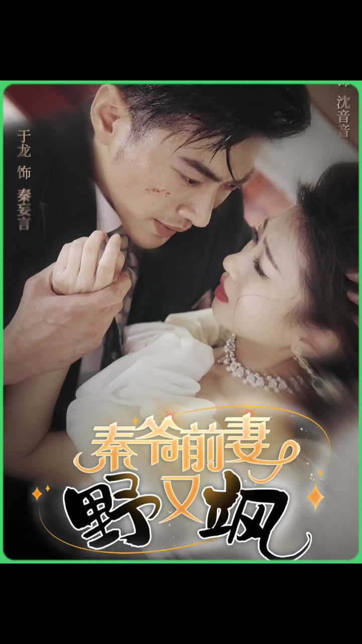 秦爷前妻野又飒海报