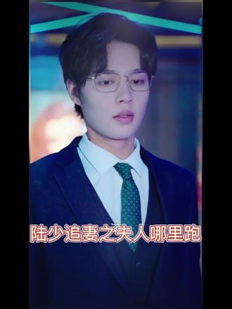 陆少追婚之夫人哪里跑海报