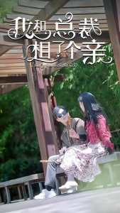 我和总裁相了个亲海报