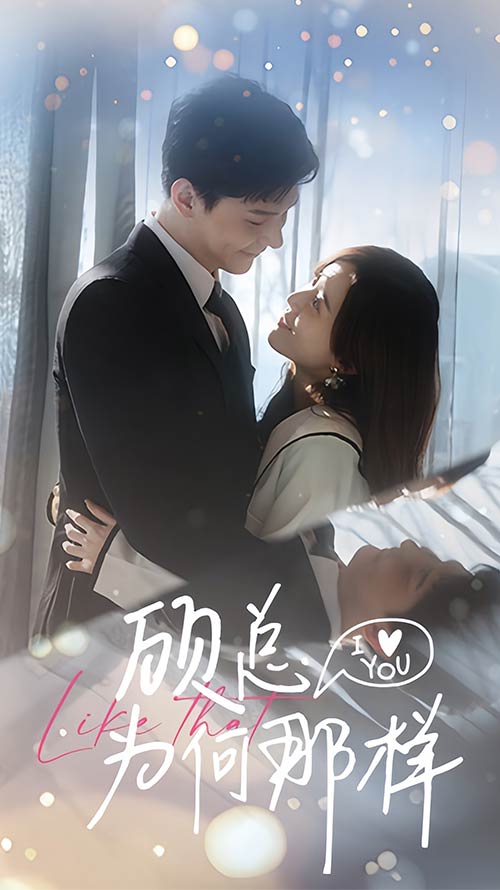 顾总为何那样海报