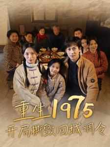 重生1975开局撕毁回城调令海报