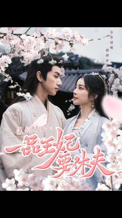 医倾天下：一品王妃要休夫海报