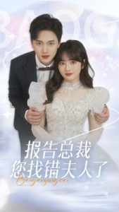 报告总裁您找错夫人了海报