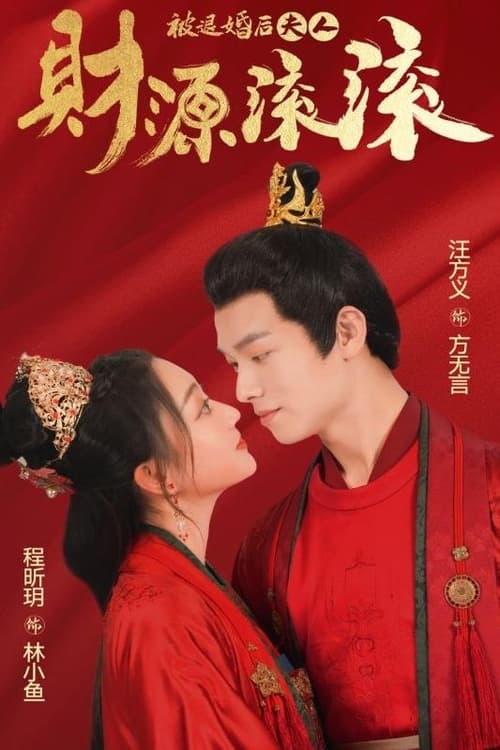 被退婚后夫人财源滚滚海报