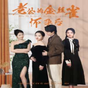 老公的金丝雀怀孕后海报