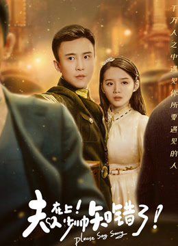 夫人在上,少帅知错了海报