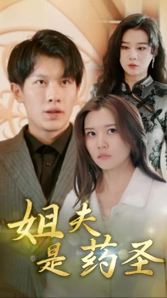 姐夫是药圣海报