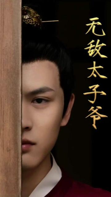 无敌太子爷海报