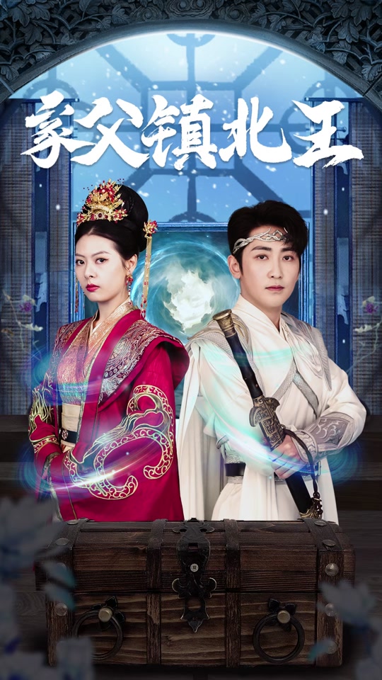 家父镇北王海报