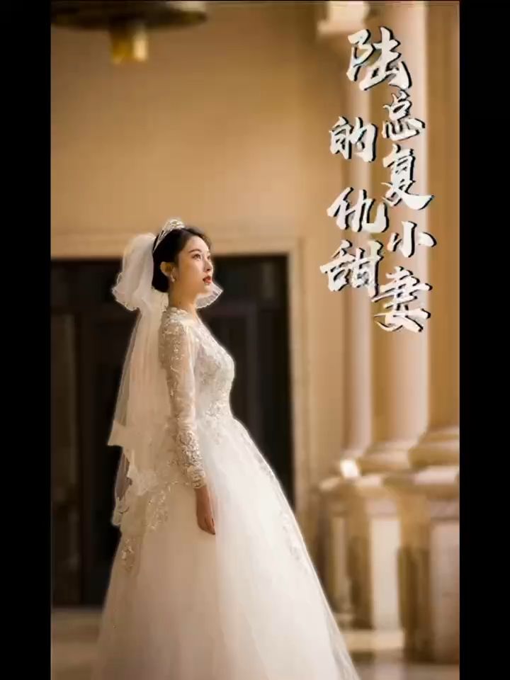 陆总的复仇小甜妻海报