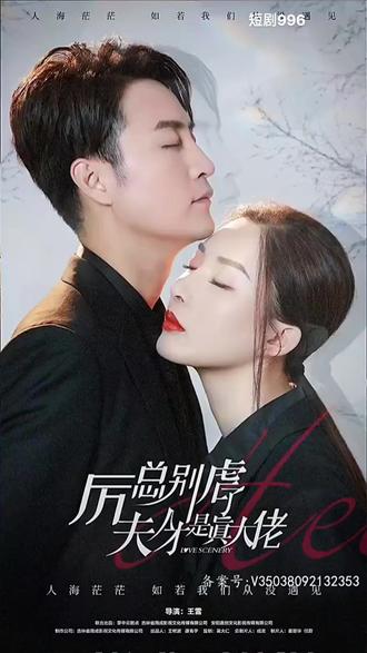 厉总别虐了，夫人才是真大佬海报