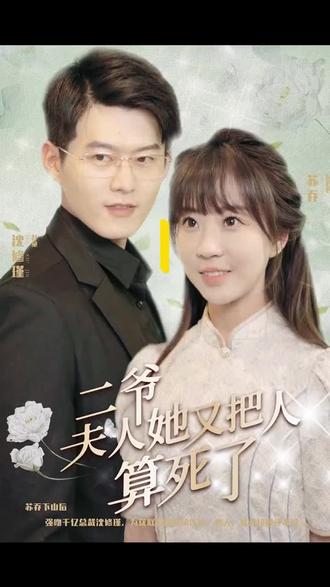 二爷，夫人又把人算死了海报
