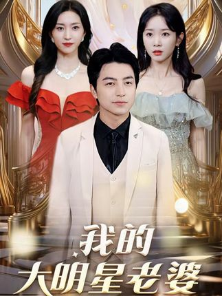 我的大明星老婆海报
