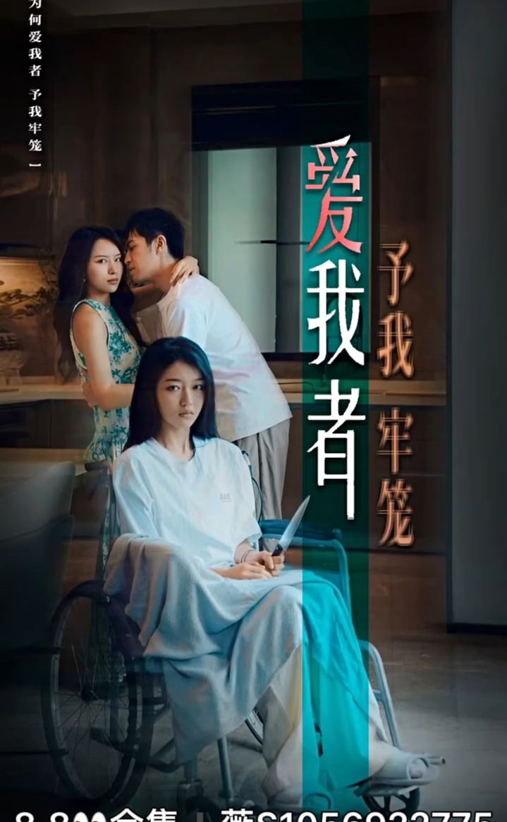 爱我者予我牢笼海报