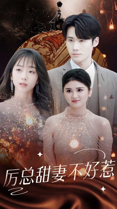 历总前妻不好惹海报