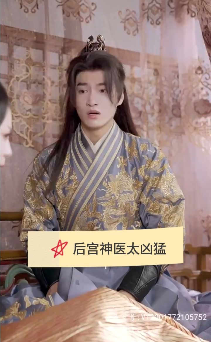 后宫神医太凶猛海报