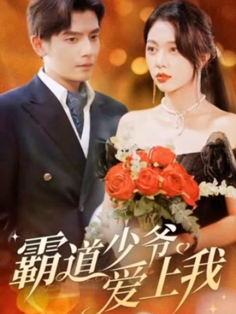 霸道少爷爱上我海报