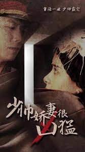 少帅娇妻很凶猛海报