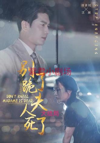 别跪了，夫人死了海报