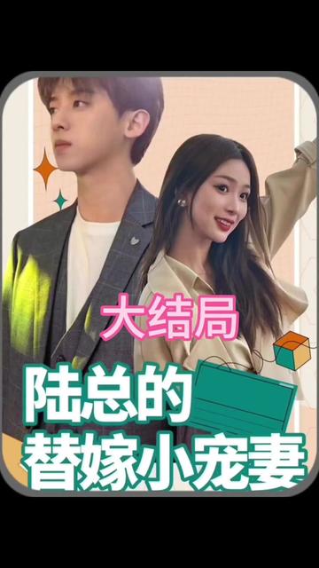 陆总的替嫁小娇妻海报