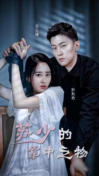 苏少的掌中之物海报