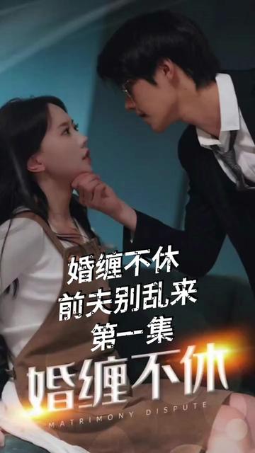 纠缠不休，潜伏别乱来海报