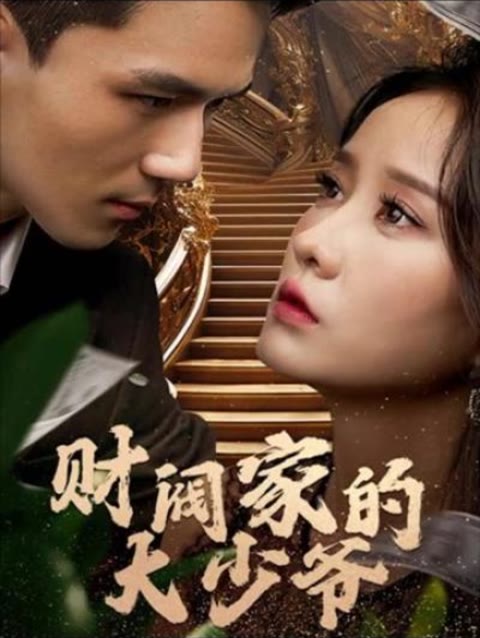 财阀家的大少爷海报