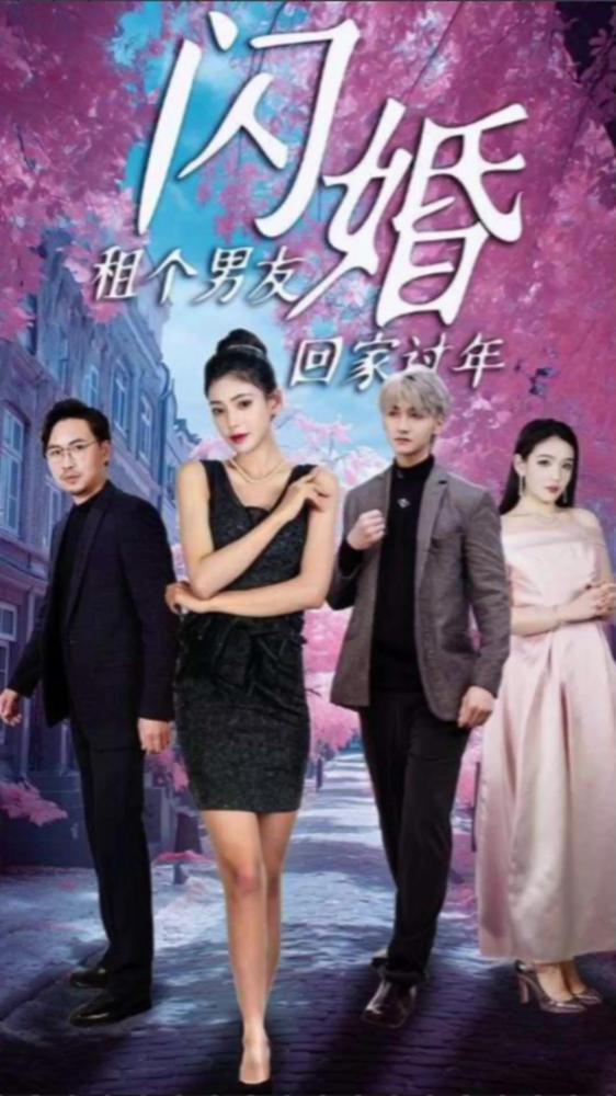 闪婚租个男友回家过年海报