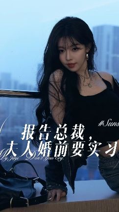 报告总裁，夫人婚前要实习海报