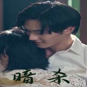 暗杀短剧版海报