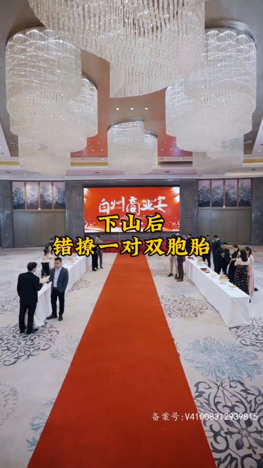 下山后，错撩一对双胞胎海报