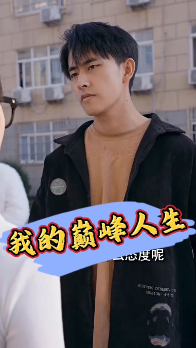 我的巅峰人生海报