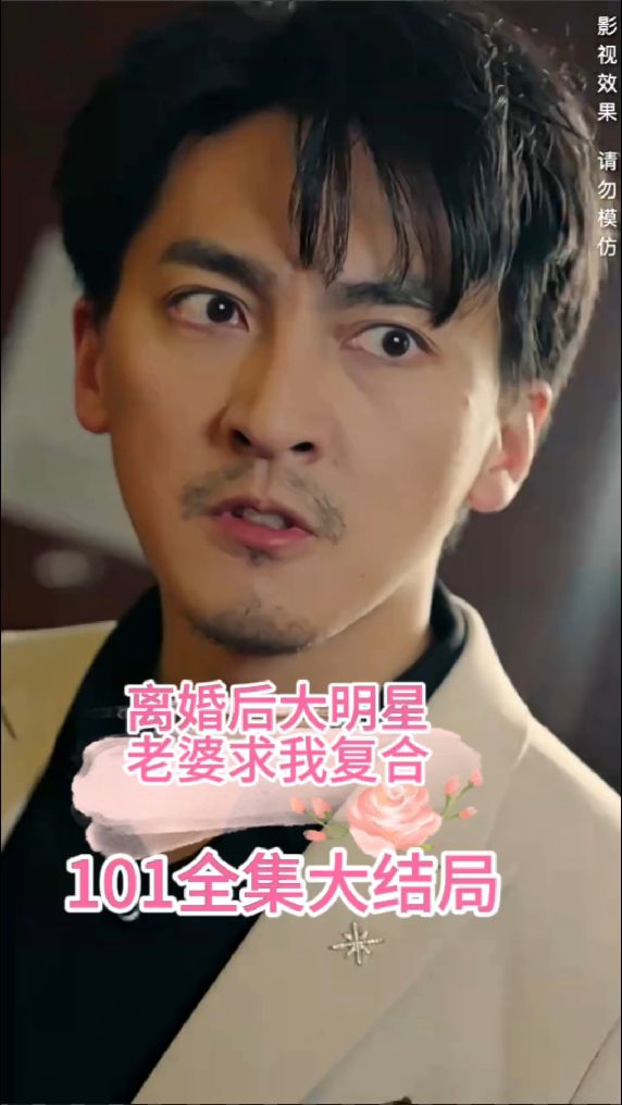 离婚后，大明星老婆求我复合海报