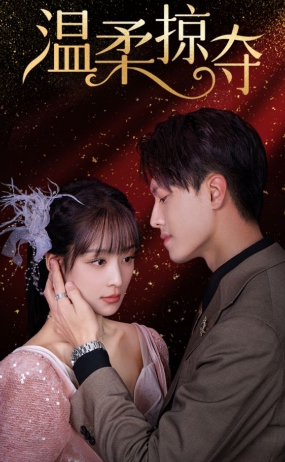 温柔掠夺海报