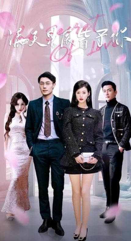 满天星辰皆予你海报