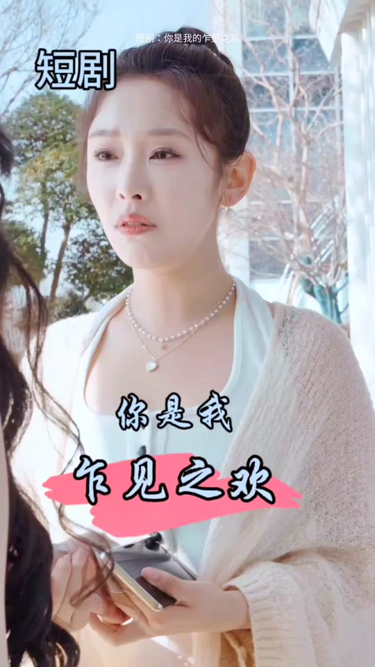 你是我的乍见之欢海报