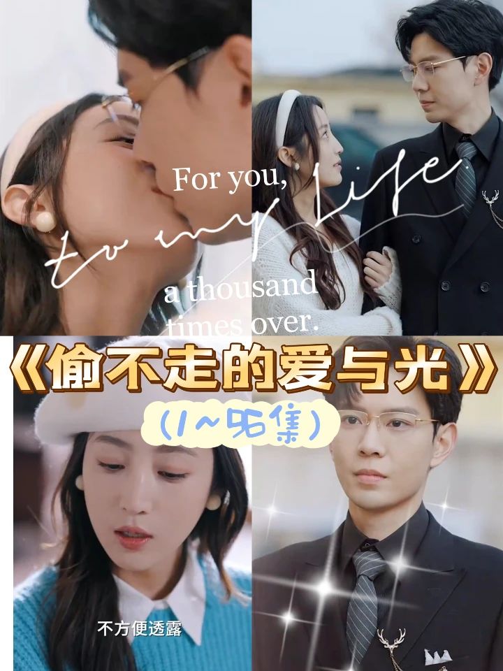 偷不走的爱与光海报