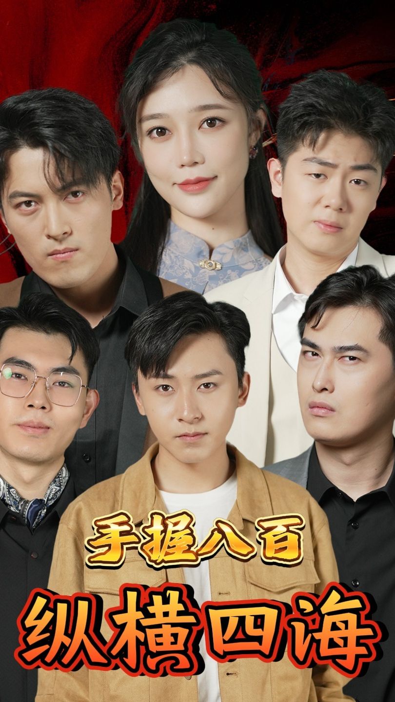 手握八百纵横四海海报