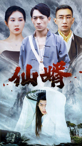 仙婿海报